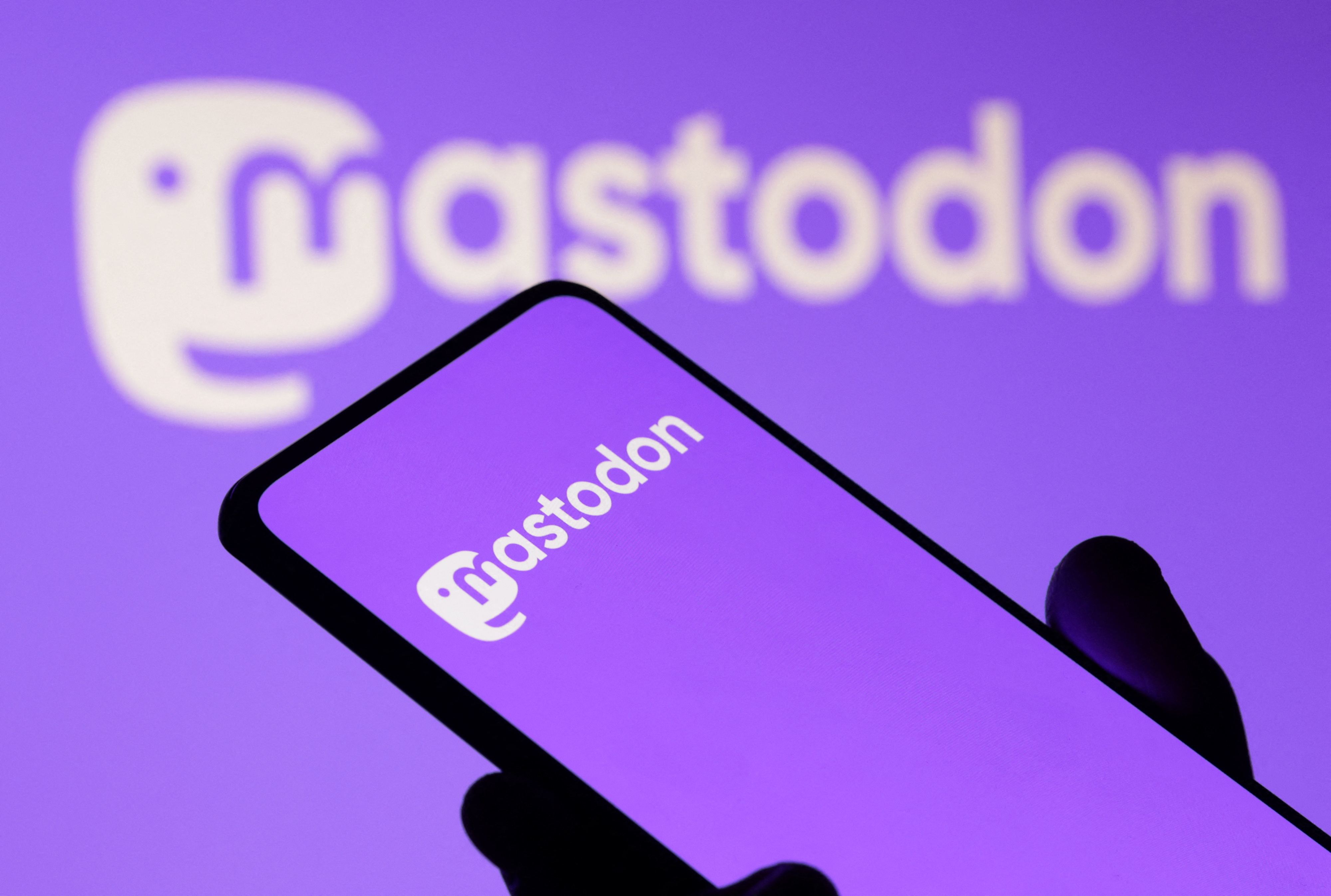 Mastodon logo is seen in this illustration taken November 7, 2022. REUTERS/Dado Ruvic/Illustration