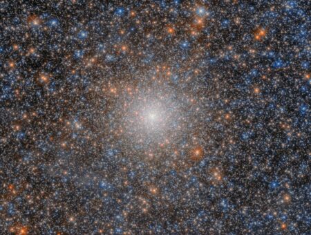 This NASA/ESA Hubble Space Telescope image features the globular cluster NGC 2005. ESA/Hubble & NASA, F. Niederhofer, L. Girardi